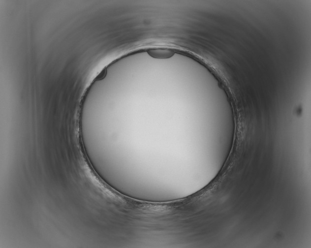 X0000116331382200912151256