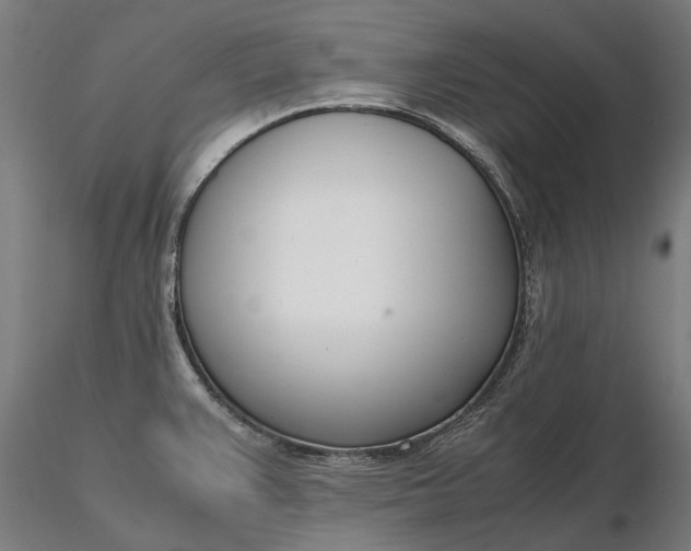 X0000116331383200912151256