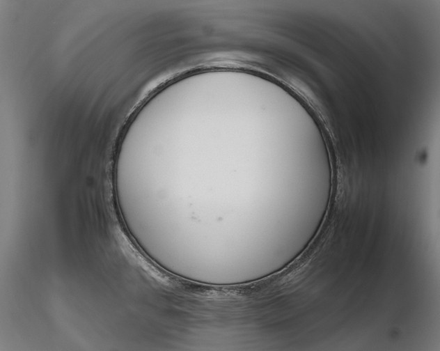 X0000116331384200912151256