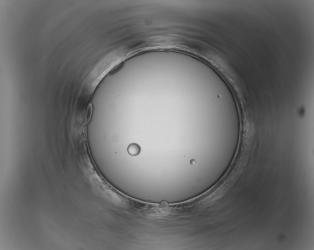 X0000116331385200912151255