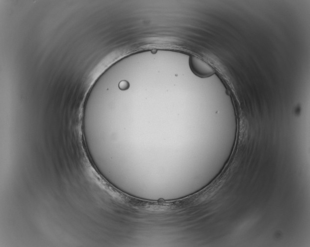 X0000116331386200912151255