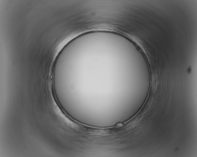X0000116331387200912151255