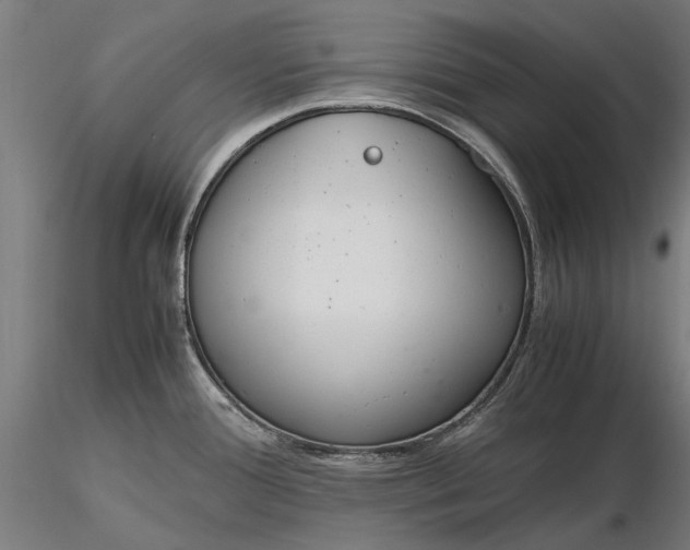 X0000116331388200912151255