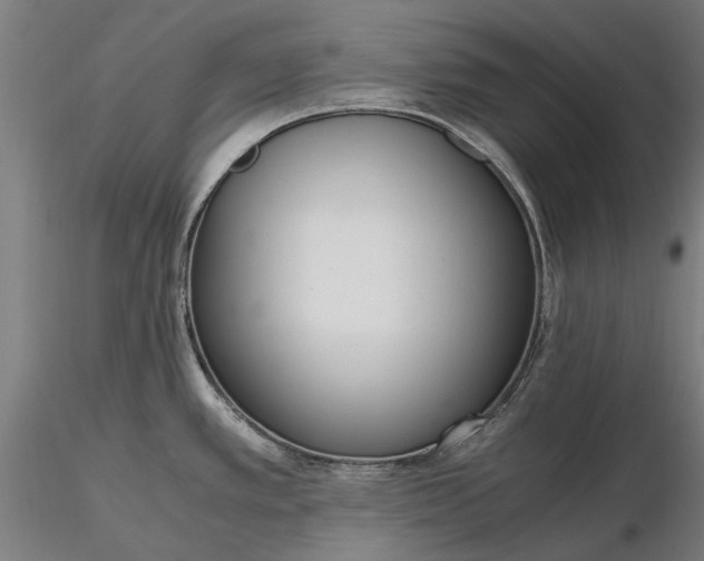 X0000116331389200912151255