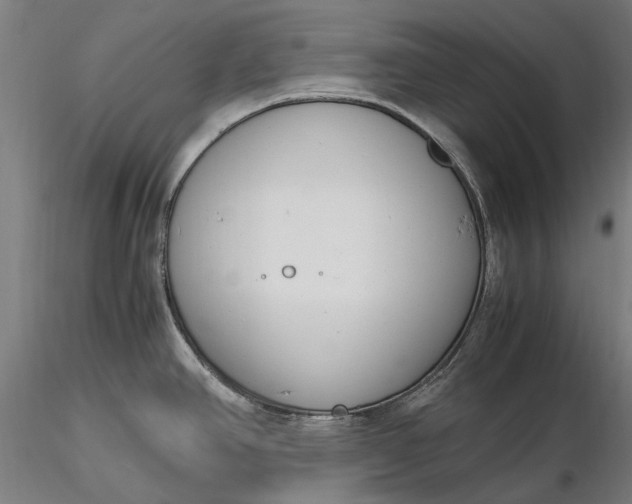 X0000116331390200912151255