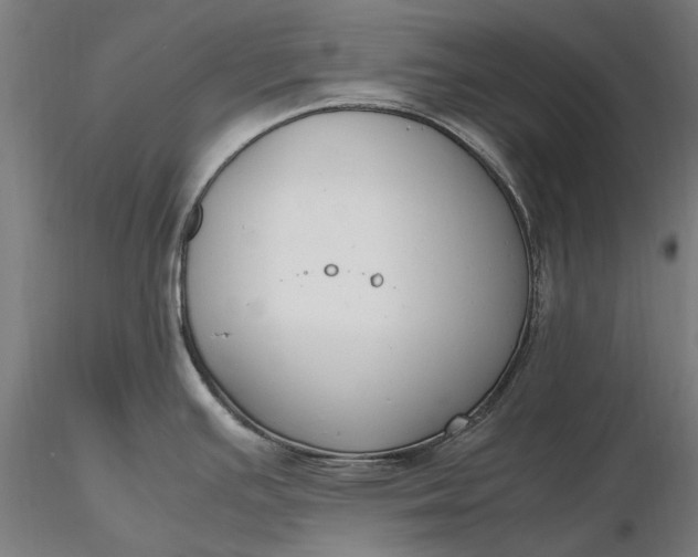 X0000116331391200912151255