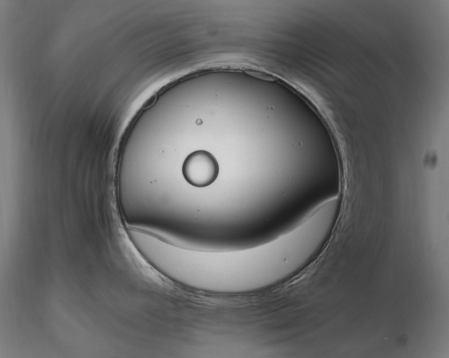 X0000116331392200912151255