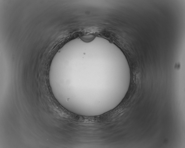 X0000116331393200912151255