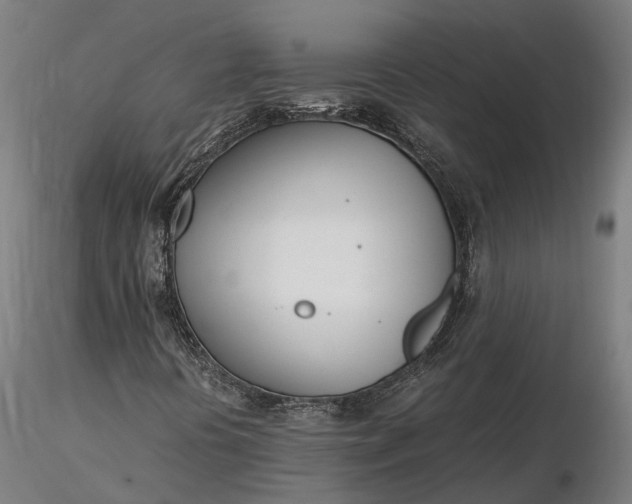 X0000116331394200912151255