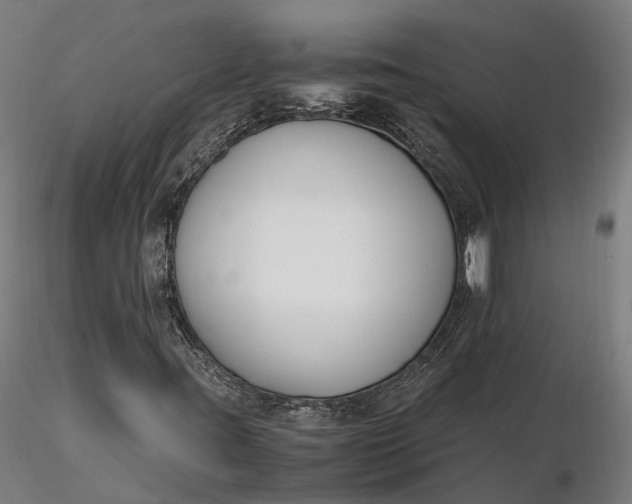 X0000116331395200912151255