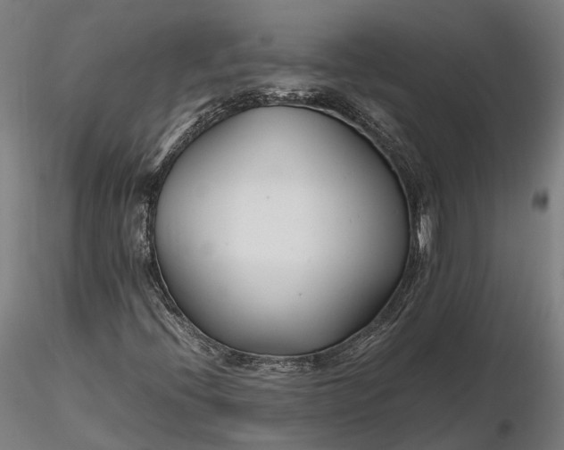 X0000116331396200912151255
