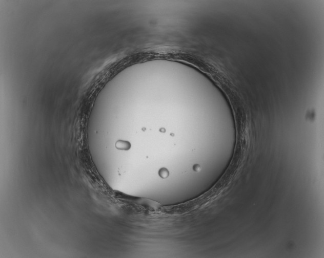 X0000116331398200912151255