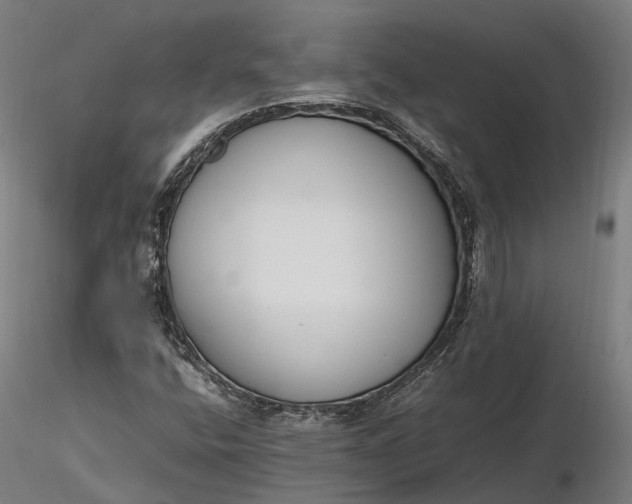 X0000116331400200912151255
