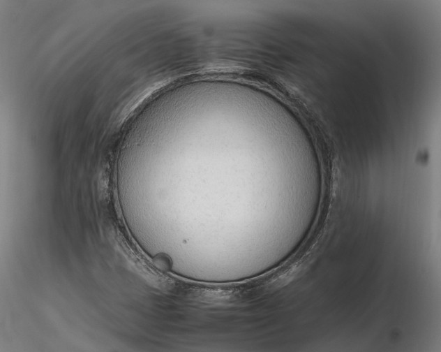 X0000116331401200912151255