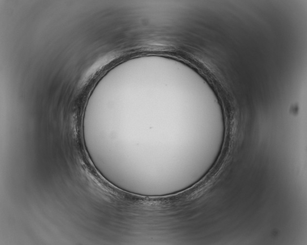 X0000116331402200912151255