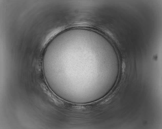 X0000116331405200912151255