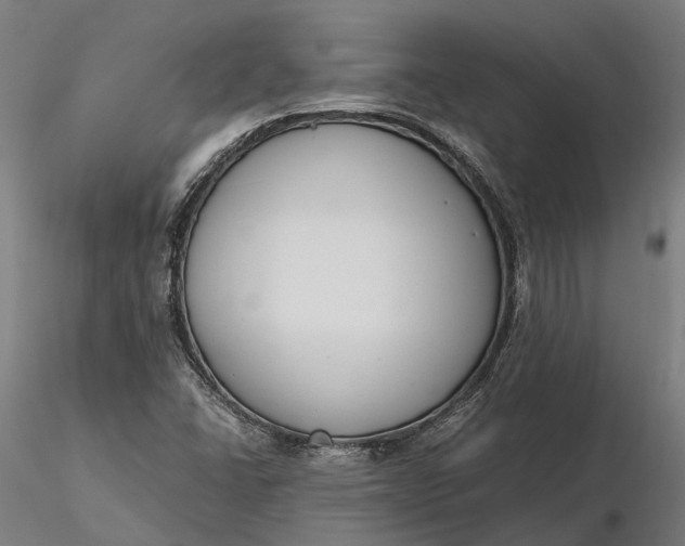 X0000116331406200912151255