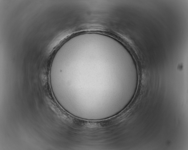 X0000116331407200912151255