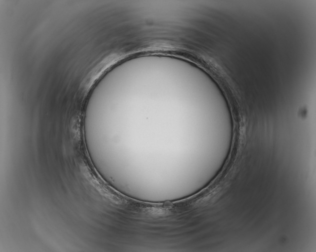 X0000116331409200912151255