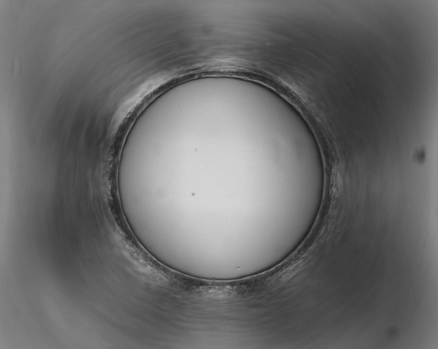 X0000116331410200912151255