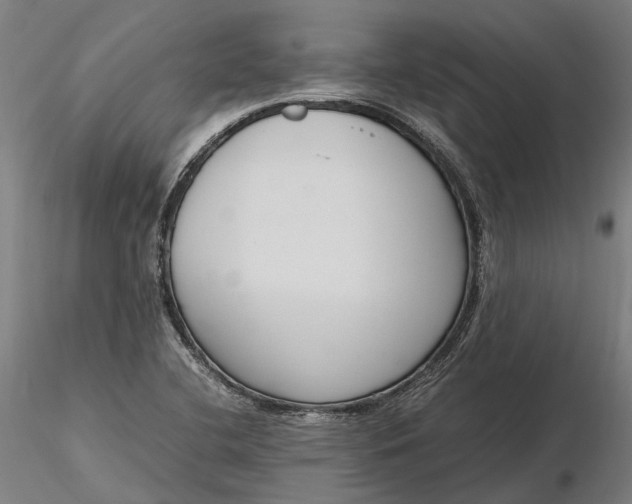 X0000116331412200912151255