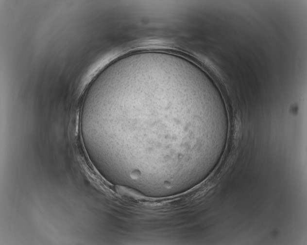 X0000116331413200912151255