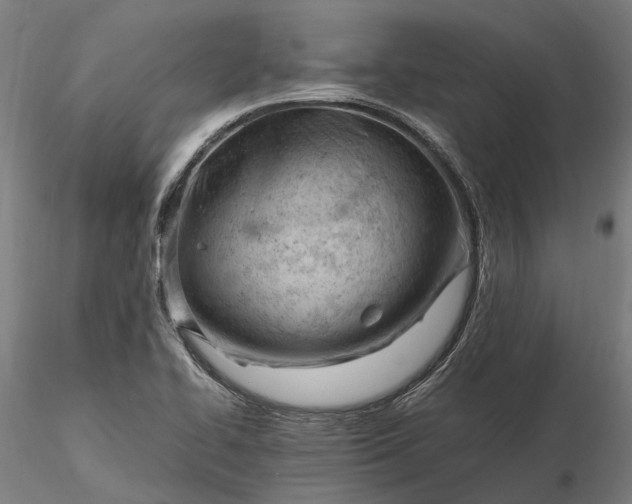 X0000116331414200912151255