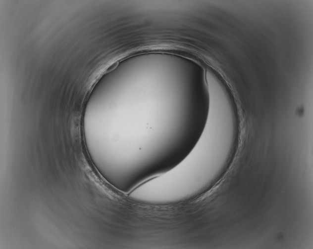 X0000116331417200912151255