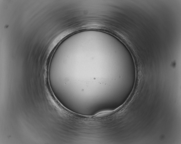 X0000116331418200912151255