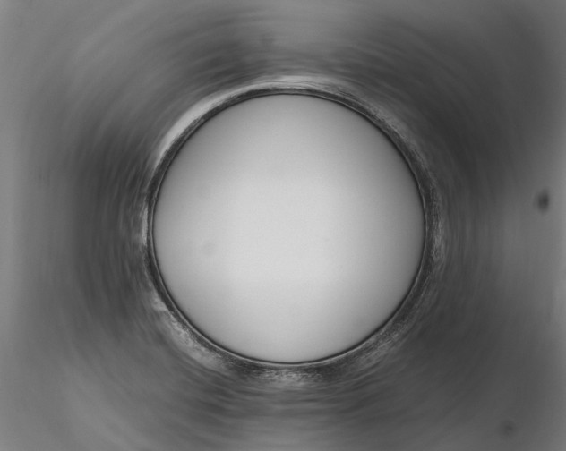 X0000116331420200912151255