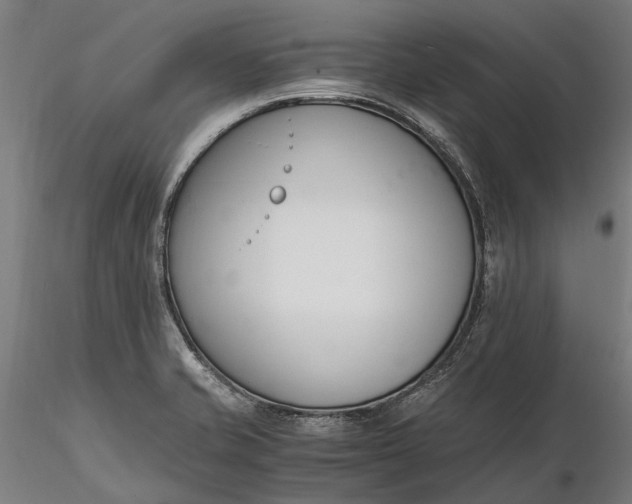 X0000116331421200912151255
