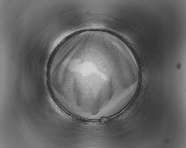 X0000116331422200912151255