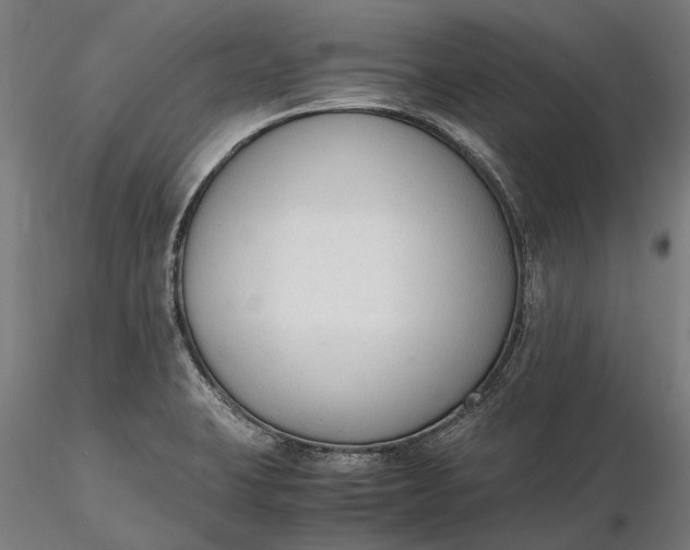 X0000116331423200912151255