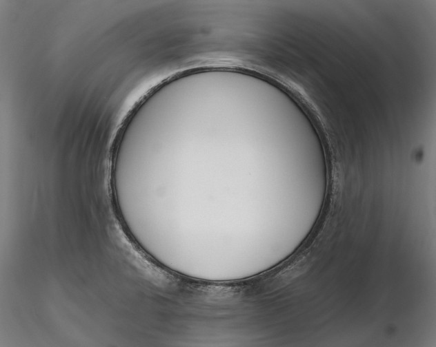 X0000116331424200912151255