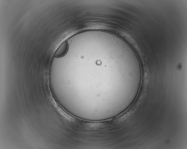 X0000116331425200912151255