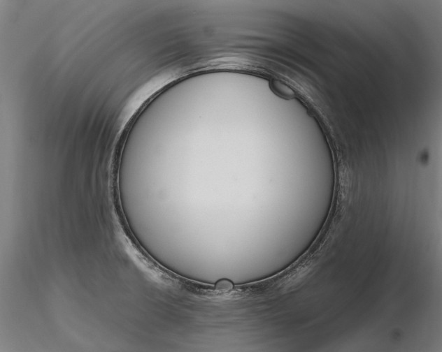 X0000116331426200912151255