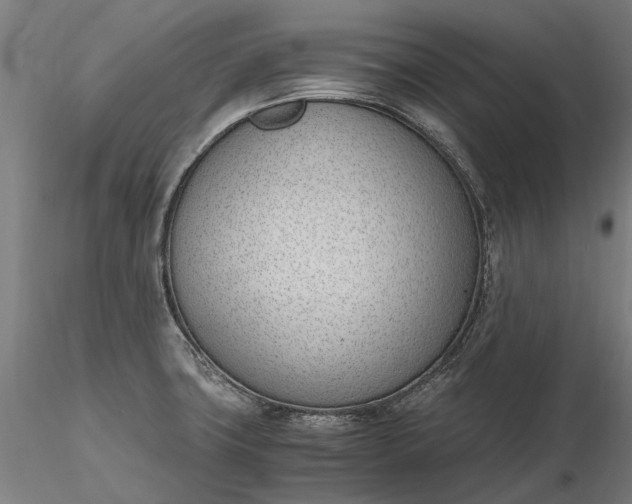 X0000116331427200912151255