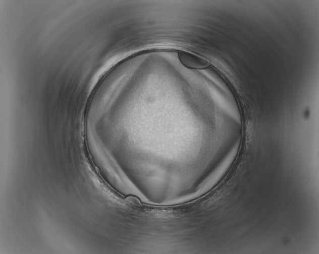 X0000116331428200912151255