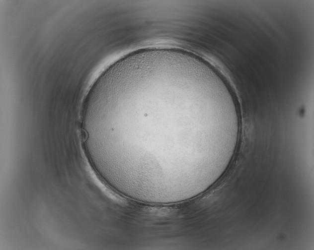 X0000116331429200912151255