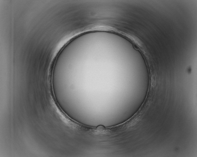 X0000116331430200912151255