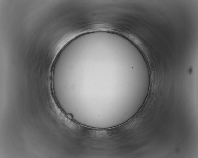 X0000116331431200912151255