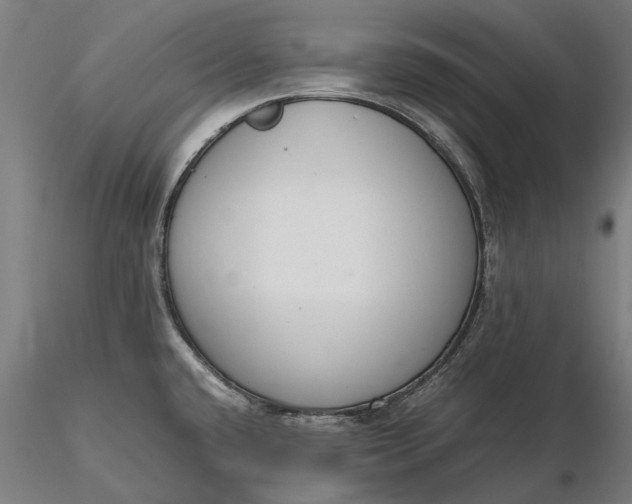 X0000116331432200912151255