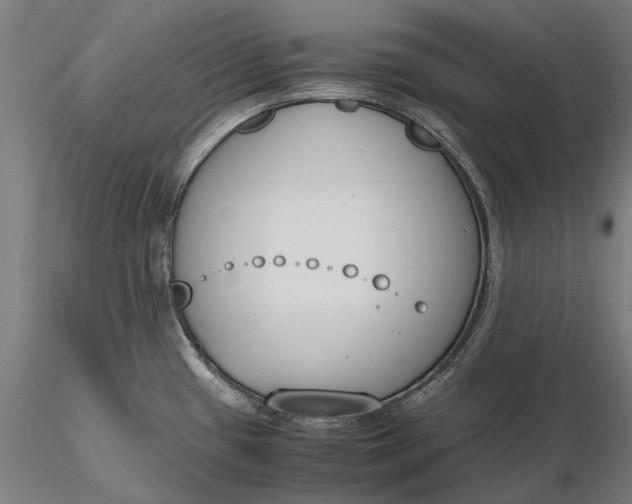 X0000116331433200912151255
