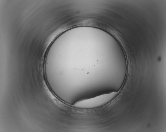 X0000116331434200912151255