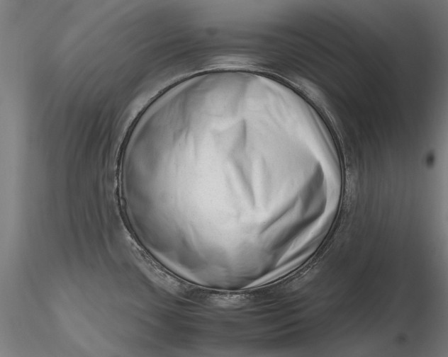 X0000116331435200912151255