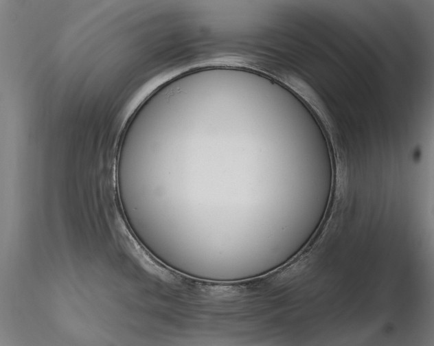 X0000116331436200912151255