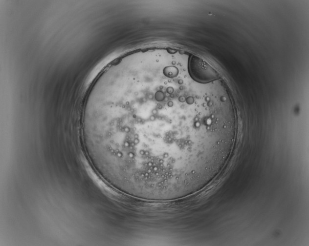 X0000116331438200912151255