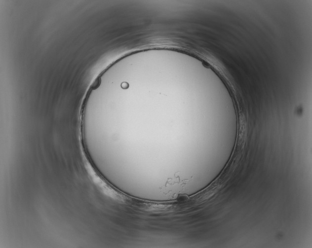 X0000116331439200912151255