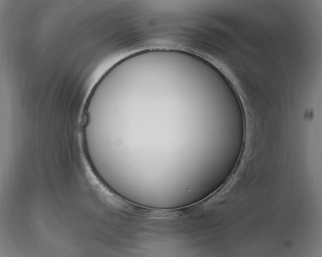 X0000116331440200912151255