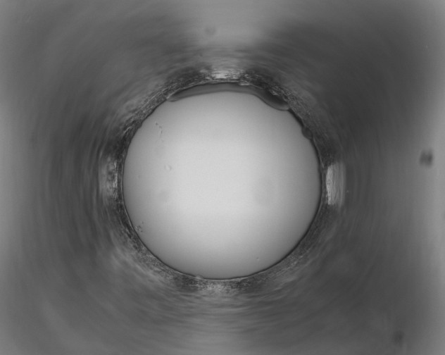 X0000116331443200912151255